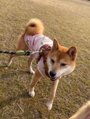 みゅうちゃん