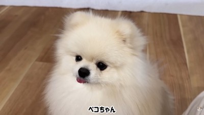 「もっと食べたい!」
