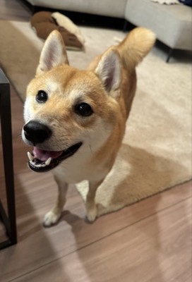 覗き込む