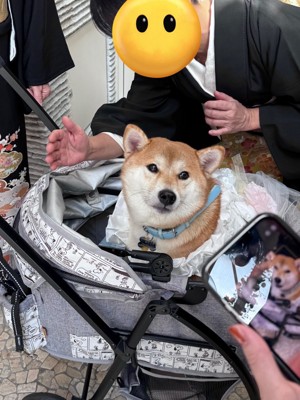 ウェルカム