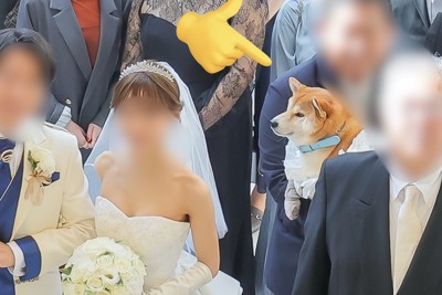 花嫁