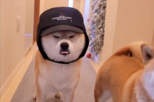 まん丸