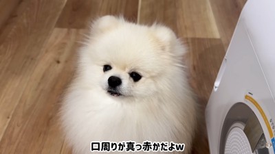 お口がイチゴ色に(笑)