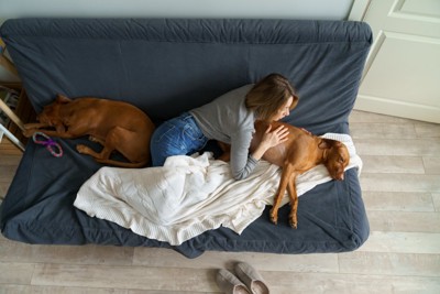 犬を心配する女性