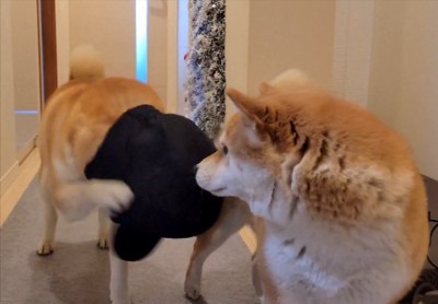 脱ぐ