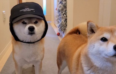 誰もが