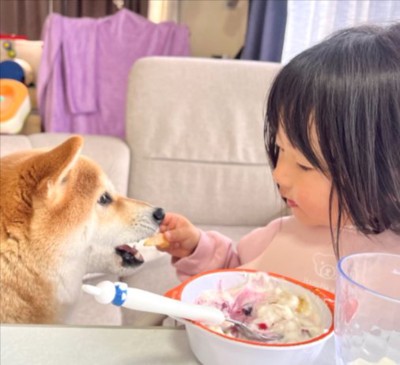 仲良し
