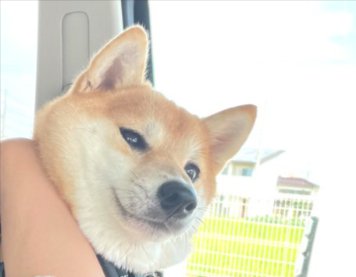 遠い目