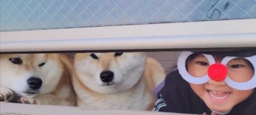いつでも