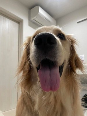 勝利の笑み♪