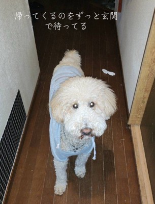「ママは帰ってこないの?」