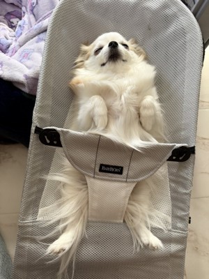 試しに