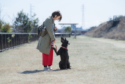 散歩中にトレーニング