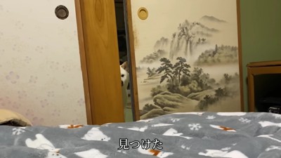 「いた！！」
