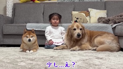 あれれ…？