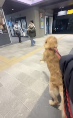 駆け寄ります！