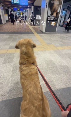 「あれは！？」
