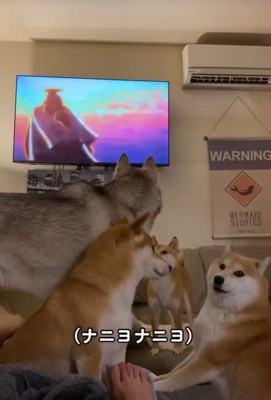 みんな大混乱!
