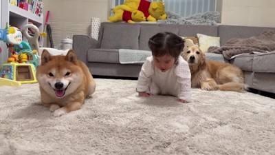 勝者はうにくんでした！！