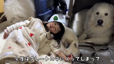 むぅむぅちゃんが降りられなくなった！