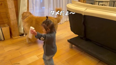 「わん！」