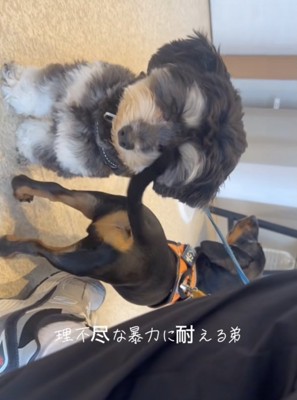 目が！！
