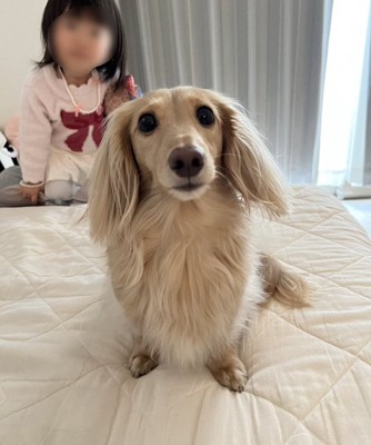 飼い主