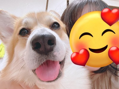 盛れた写真