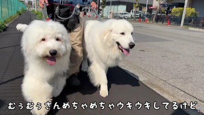 「車中泊楽しかったね！」