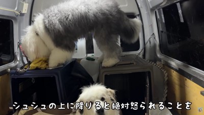 みんなで車中泊にチャレンジ！