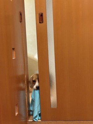 自主