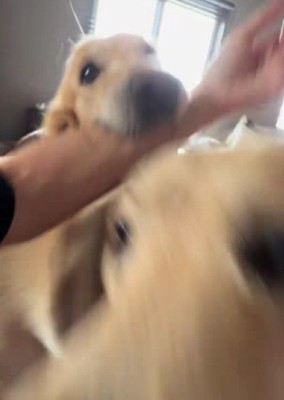 ピョンピョン跳ねて大喜び!!