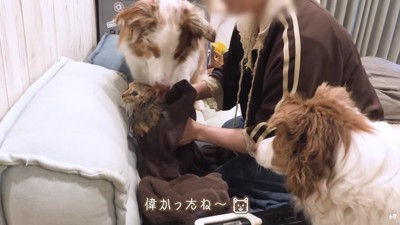 「僕が乾かす!」