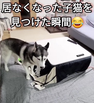 「もしかして家出…?」