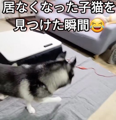 「早く見つけなきゃ!!」
