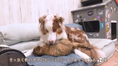 ビショビショになる運命!?