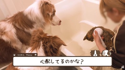 「本当に大丈夫?嫌がってない?」