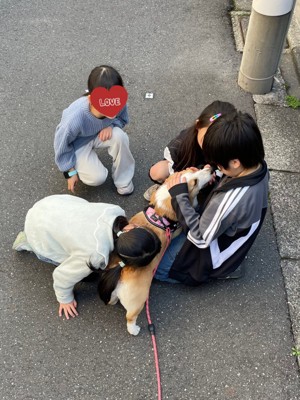 もみくちゃ