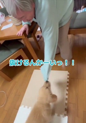 「抜けた～！！」