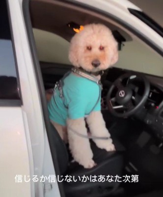 前世は人間！？