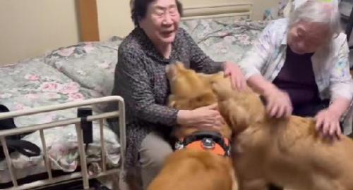 双子のおばあちゃんと再会