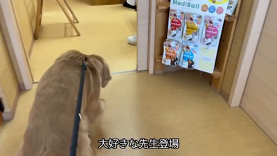 ウキウキで診察室へ