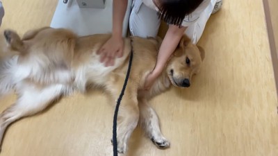 寝転がって甘えん坊全開♡