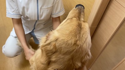 看護師さんにご挨拶