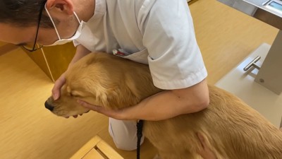 ちゃんと診察も受けました