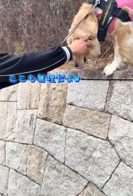 少し移動しても無理