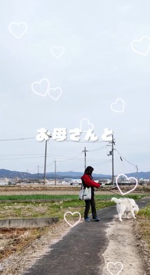 飼い主とゆっくり散歩をするおじいちゃん犬