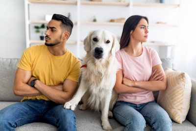 喧嘩をしている男女と犬