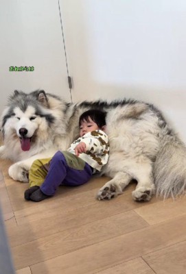 密会を行うほど仲良しな2人