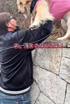 ちょっぴり怖がっています